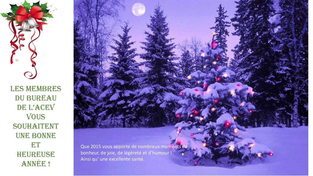 Voeux_2015_ACEV_2_1_ (2)