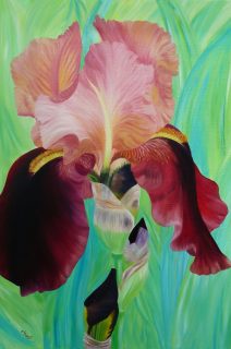 Exposition de l'Artiste Peintre Françoise Pinard