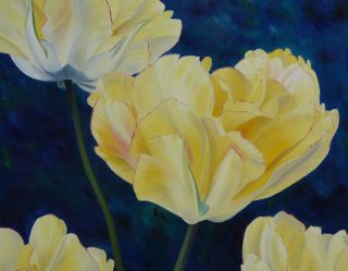 Exposition de l'Artiste Peintre Françoise Pinard