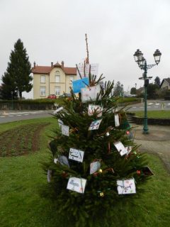 Lire la suite à propos de l’article Sapins des enfants de CM1/CM2