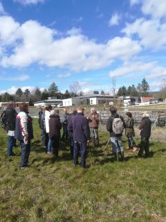 Lire la suite à propos de l’article Taille des Fruitiers