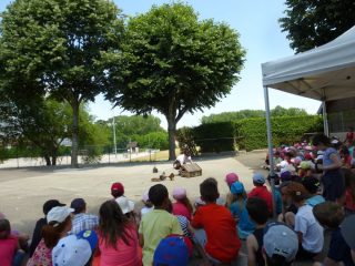 Lire la suite à propos de l’article Chasseurs d&rsquo;histoires à l&rsquo;Ecole