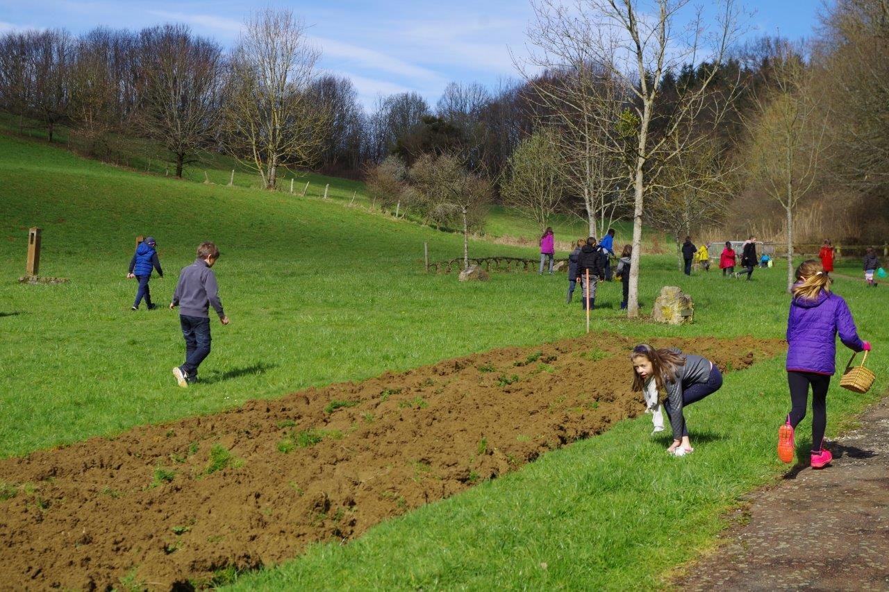 Lire la suite à propos de l’article Chasse à l’œuf à l’arboretum<span class="rating-result after_title mr-filter rating-result-23644" >			<span class="no-rating-results-text">.</span>		</span>