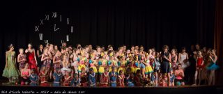 Lire la suite à propos de l’article Gala de danse 2017