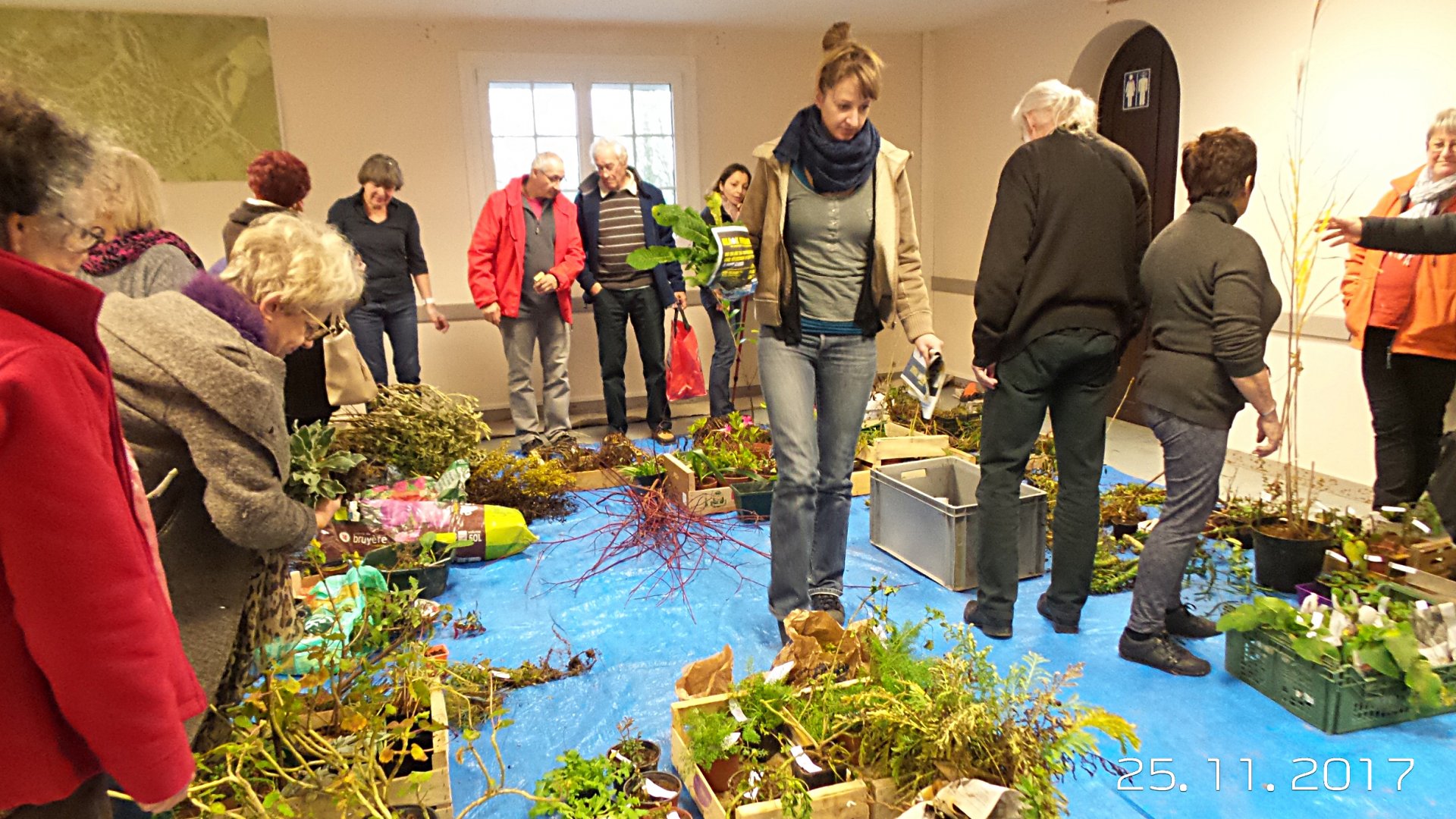 Lire la suite à propos de l’article Troc Vert d’Autome<span class="rating-result after_title mr-filter rating-result-23083" >			<span class="no-rating-results-text">.</span>		</span>